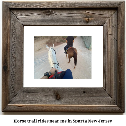 horse trail rides near me in Sparta, New Jersey